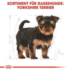 Royal Canin Yorkshire Terrier Puppy Welpenfutter Trocken -Günstiges Wuff Pflege Geschäft 0054685 royal canin yorkshire terrier puppy welpenfutter trocken