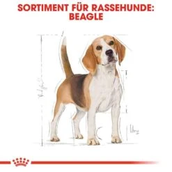 Royal Canin Beagle Adult Hundefutter Trocken -Günstiges Wuff Pflege Geschäft 0054690 royal canin beagle adult hundefutter trocken