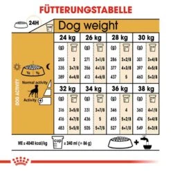Royal Canin Boxer Adult Hundefutter Trocken 14 Royal Canin Boxer Adult Hundefutter Trocken -Günstiges Wuff Pflege Geschäft 0054696 royal canin boxer adult hundefutter trocken