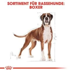 Royal Canin Boxer Adult Hundefutter Trocken 11 Royal Canin Boxer Adult Hundefutter Trocken -Günstiges Wuff Pflege Geschäft 0054701 royal canin boxer adult hundefutter trocken