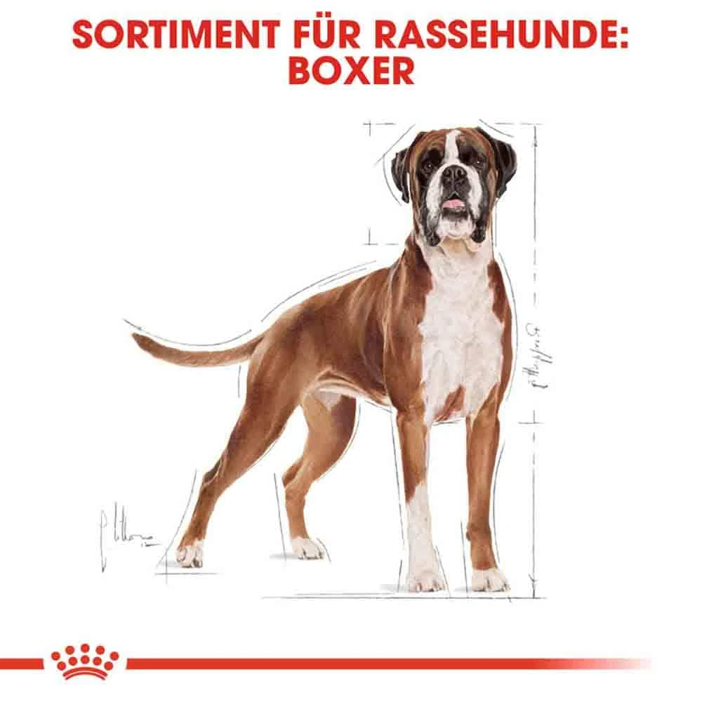 Royal Canin Boxer Adult Hundefutter Trocken 5 Royal Canin Boxer Adult Hundefutter Trocken – Bild 3