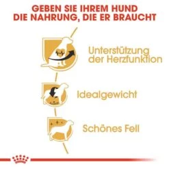 Royal Canin Cavalier King Charles Adult Hundefutter Trocken -Günstiges Wuff Pflege Geschäft 0054711 royal canin cavalier king charles adult hundefutter trocken