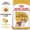 Royal Canin Cavalier King Charles Adult Hundefutter Trocken -Günstiges Wuff Pflege Geschäft 0054716 royal canin cavalier king charles adult hundefutter trocken