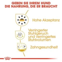 Royal Canin Chihuahua Adult Hundefutter Trocken -Günstiges Wuff Pflege Geschäft 0054718 royal canin chihuahua adult hundefutter trocken