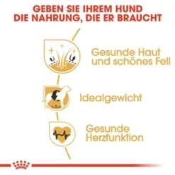 Royal Canin Cocker Adult Hundefutter Trocken -Günstiges Wuff Pflege Geschäft 0054727 royal canin cocker adult hundefutter trocken