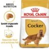 Royal Canin Cocker Adult Hundefutter Trocken -Günstiges Wuff Pflege Geschäft 0054728 royal canin cocker adult hundefutter trocken