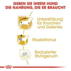 Royal Canin Dachshund Adult Hundefutter Trocken -Günstiges Wuff Pflege Geschäft 0054732 royal canin dachshund adult hundefutter trocken