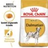 Royal Canin Dalmatian Adult Hundefutter Trocken -Günstiges Wuff Pflege Geschäft 0054740 royal canin dalmatian adult hundefutter trocken