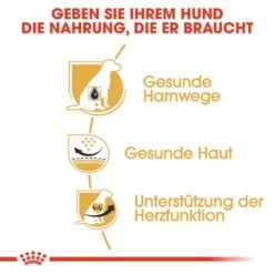 Royal Canin Dalmatian Adult Hundefutter Trocken -Günstiges Wuff Pflege Geschäft 0054742 royal canin dalmatian adult hundefutter trocken