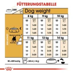 Royal Canin French Bulldog Adult Hundefutter Trocken -Günstiges Wuff Pflege Geschäft 0054747 royal canin french bulldog adult hundefutter trocken