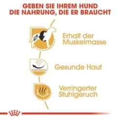 Royal Canin French Bulldog Adult Hundefutter Trocken -Günstiges Wuff Pflege Geschäft 0054750 royal canin french bulldog adult hundefutter trocken