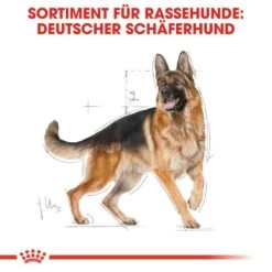 Royal Canin German Shepherd Adult Hundefutter Trocken -Günstiges Wuff Pflege Geschäft 0054756 royal canin german shepherd adult hundefutter trocken