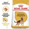 Royal Canin German Shepherd Adult Hundefutter Trocken 1 Royal Canin German Shepherd Adult Hundefutter Trocken -Günstiges Wuff Pflege Geschäft 0054758 royal canin german shepherd adult hundefutter trocken