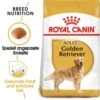 Royal Canin Golden Retriever Adult Hundefutter Trocken -Günstiges Wuff Pflege Geschäft 0054760 royal canin golden retriever adult hundefutter trocken