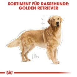 Royal Canin Golden Retriever Adult Hundefutter Trocken -Günstiges Wuff Pflege Geschäft 0054761 royal canin golden retriever adult hundefutter trocken