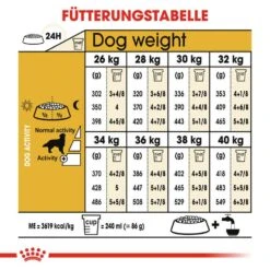 Royal Canin Golden Retriever Adult Hundefutter Trocken -Günstiges Wuff Pflege Geschäft 0054763 royal canin golden retriever adult hundefutter trocken