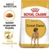 Royal Canin Great Dane Adult Hundefutter Trocken -Günstiges Wuff Pflege Geschäft 0054767 royal canin great dane adult hundefutter trocken
