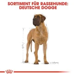 Royal Canin Great Dane Adult Hundefutter Trocken -Günstiges Wuff Pflege Geschäft 0054772 royal canin great dane adult hundefutter trocken