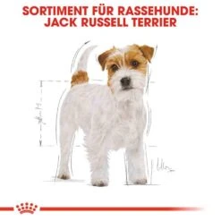 Royal Canin Jack Russell Terrier Adult Hundefutter Trocken -Günstiges Wuff Pflege Geschäft 0054774 royal canin jack russell terrier adult hundefutter trocken
