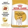 Royal Canin Jack Russell Terrier Adult Hundefutter Trocken -Günstiges Wuff Pflege Geschäft 0054776 royal canin jack russell terrier adult hundefutter trocken