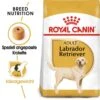 Royal Canin Labrador Retriever Adult Hundefutter Trocken -Günstiges Wuff Pflege Geschäft 0054780 royal canin labrador retriever adult hundefutter trocken