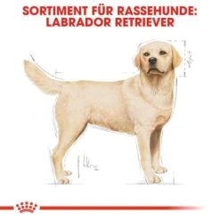 Royal Canin Labrador Retriever Adult Hundefutter Trocken -Günstiges Wuff Pflege Geschäft 0054782 royal canin labrador retriever adult hundefutter trocken