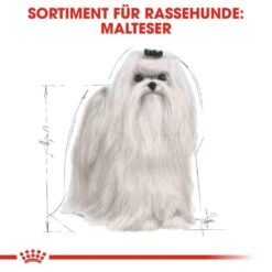 Royal Canin Maltese Adult Hundefutter Trocken -Günstiges Wuff Pflege Geschäft 0054788 royal canin maltese adult hundefutter trocken