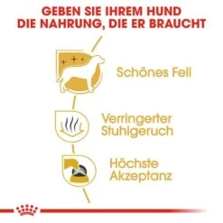 Royal Canin Maltese Adult Hundefutter Trocken -Günstiges Wuff Pflege Geschäft 0054789 royal canin maltese adult hundefutter trocken