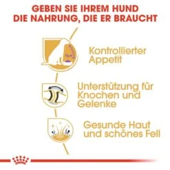 Royal Canin Labrador Retriever Adult Sterilised Trockenfutter Für Kastrierte Hunde -Günstiges Wuff Pflege Geschäft 0054796 royal canin labrador retriever adult sterilised trockenfutter fur kastrierte hunde