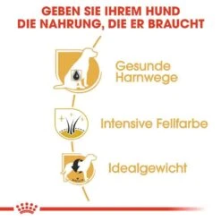 Royal Canin Miniature Schnauzer Adult Hundefutter Trocken -Günstiges Wuff Pflege Geschäft 0054803 royal canin miniature schnauzer adult hundefutter trocken