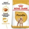 Royal Canin Poodle Adult Hundefutter Trocken -Günstiges Wuff Pflege Geschäft 0054807 royal canin poodle adult hundefutter trocken