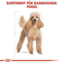 Royal Canin Poodle Adult Hundefutter Trocken -Günstiges Wuff Pflege Geschäft 0054809 royal canin poodle adult hundefutter trocken