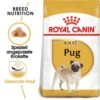 Royal Canin Pug Adult Hundefutter Trocken