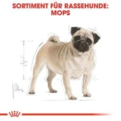 Royal Canin Pug Adult Hundefutter Trocken 11 Royal Canin Pug Adult Hundefutter Trocken -Günstiges Wuff Pflege Geschäft 0054816 royal canin pug adult hundefutter trocken