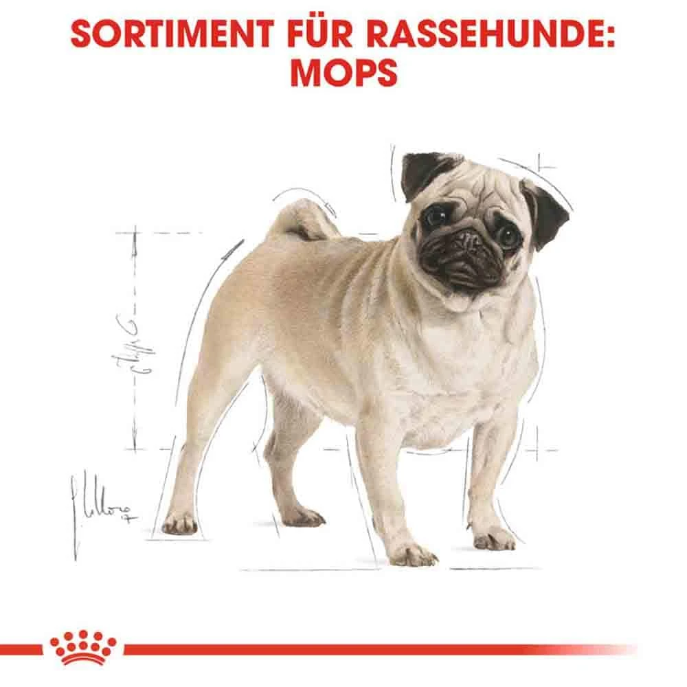 Royal Canin Pug Adult Hundefutter Trocken 5 Royal Canin Pug Adult Hundefutter Trocken – Bild 3