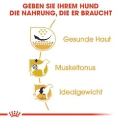 Royal Canin Pug Adult Hundefutter Trocken 12 Royal Canin Pug Adult Hundefutter Trocken -Günstiges Wuff Pflege Geschäft 0054817 royal canin pug adult hundefutter trocken