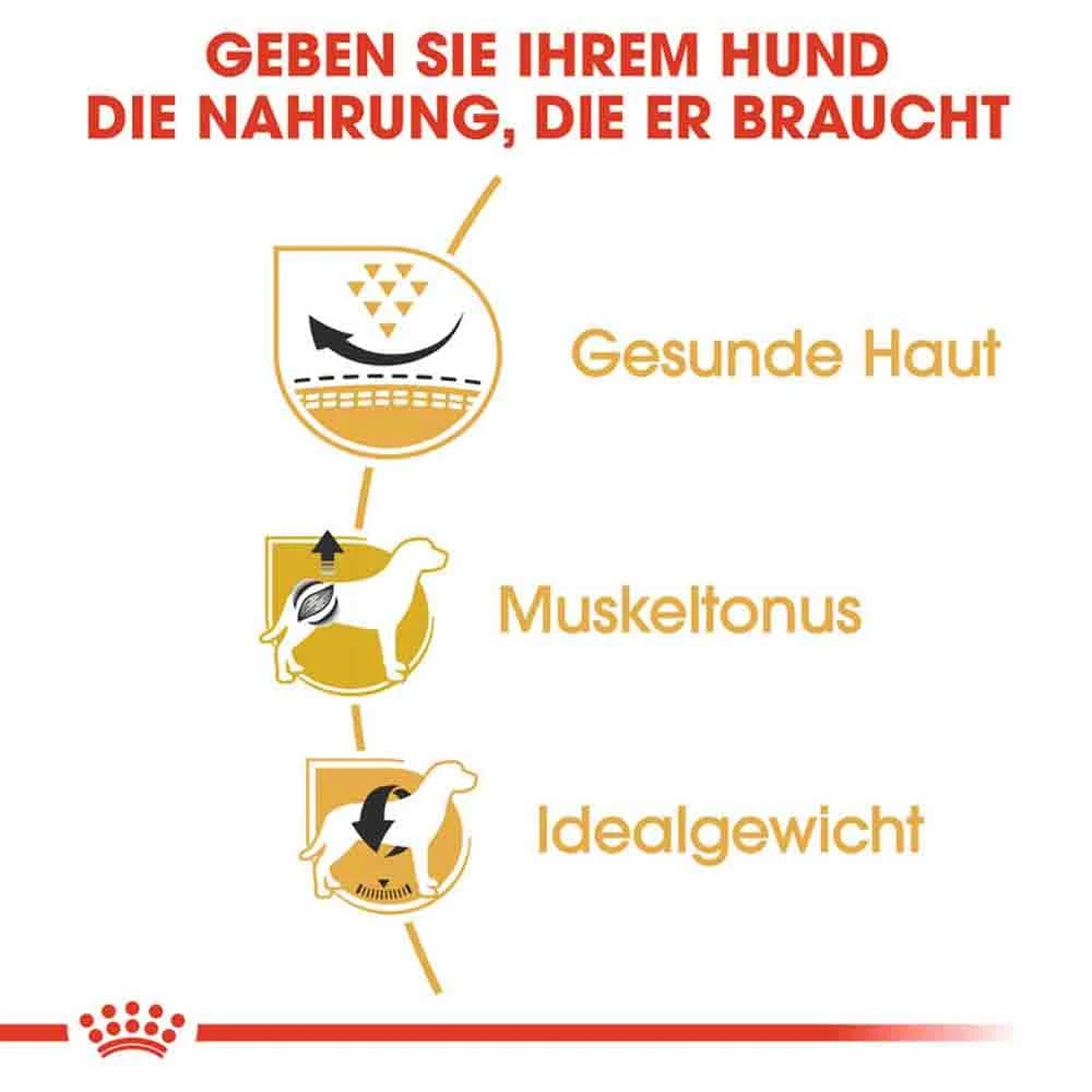 Royal Canin Pug Adult Hundefutter Trocken 6 Royal Canin Pug Adult Hundefutter Trocken – Bild 4