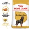 Royal Canin Rottweiler Adult Hundefutter Trocken -Günstiges Wuff Pflege Geschäft 0054821 royal canin rottweiler adult hundefutter trocken