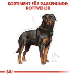 Royal Canin Rottweiler Adult Hundefutter Trocken -Günstiges Wuff Pflege Geschäft 0054823 royal canin rottweiler adult hundefutter trocken