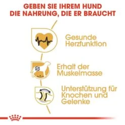 Royal Canin Rottweiler Adult Hundefutter Trocken -Günstiges Wuff Pflege Geschäft 0054824 royal canin rottweiler adult hundefutter trocken