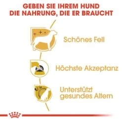 Royal Canin Yorkshire Terrier Adult Hundefutter Trocken -Günstiges Wuff Pflege Geschäft 0054845 royal canin yorkshire terrier adult hundefutter trocken