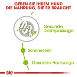 Royal Canin X-Small Adult Trockenfutter Für Sehr Kleine Hunde -Günstiges Wuff Pflege Geschäft 0054895 royal canin x small adult trockenfutter fur sehr kleine hunde