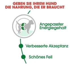 Royal Canin Mini Adult Trockenfutter Für Kleine Hunde -Günstiges Wuff Pflege Geschäft 0054912 royal canin mini adult trockenfutter fur kleine hunde