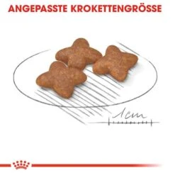 Royal Canin Mini Adult Trockenfutter Für Kleine Hunde -Günstiges Wuff Pflege Geschäft 0054913 royal canin mini adult trockenfutter fur kleine hunde
