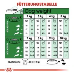 Royal Canin Mini Adult Trockenfutter Für Kleine Hunde -Günstiges Wuff Pflege Geschäft 0054916 royal canin mini adult trockenfutter fur kleine hunde