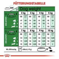 Royal Canin Mini Adult 8+ Trockenfutter Für ältere Kleine Hunde -Günstiges Wuff Pflege Geschäft 0054918 royal canin mini adult 8 trockenfutter fur altere kleine hunde