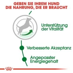 Royal Canin Mini Adult 8+ Trockenfutter Für ältere Kleine Hunde -Günstiges Wuff Pflege Geschäft 0054920 royal canin mini adult 8 trockenfutter fur altere kleine hunde
