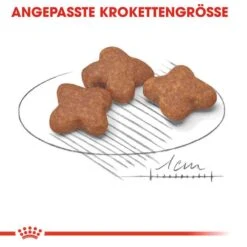 Royal Canin Mini Adult 8+ Trockenfutter Für ältere Kleine Hunde -Günstiges Wuff Pflege Geschäft 0054922 royal canin mini adult 8 trockenfutter fur altere kleine hunde