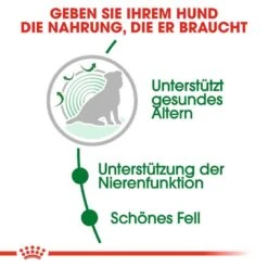 Royal Canin Mini Adult 12+ Trockenfutter Für ältere Kleine Hunde -Günstiges Wuff Pflege Geschäft 0054928 royal canin mini adult 12 trockenfutter fur altere kleine hunde