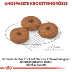 Royal Canin Mini Adult 12+ Trockenfutter Für ältere Kleine Hunde -Günstiges Wuff Pflege Geschäft 0054931 royal canin mini adult 12 trockenfutter fur altere kleine hunde